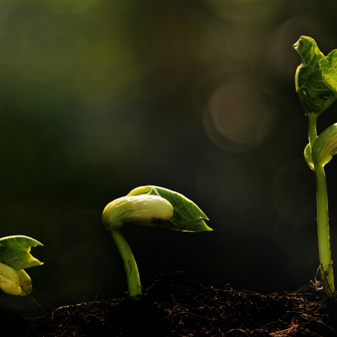 Baobag conçoit des solution sur-mesure pour les besoins en agriculture